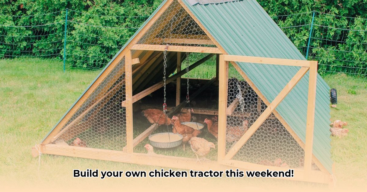 plans-for-chicken-tractor